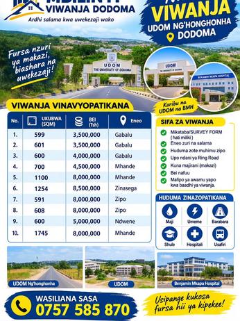 Viwanja vinauzwa UDOM Ng'hong'honha, Dodoma (599 sqm)