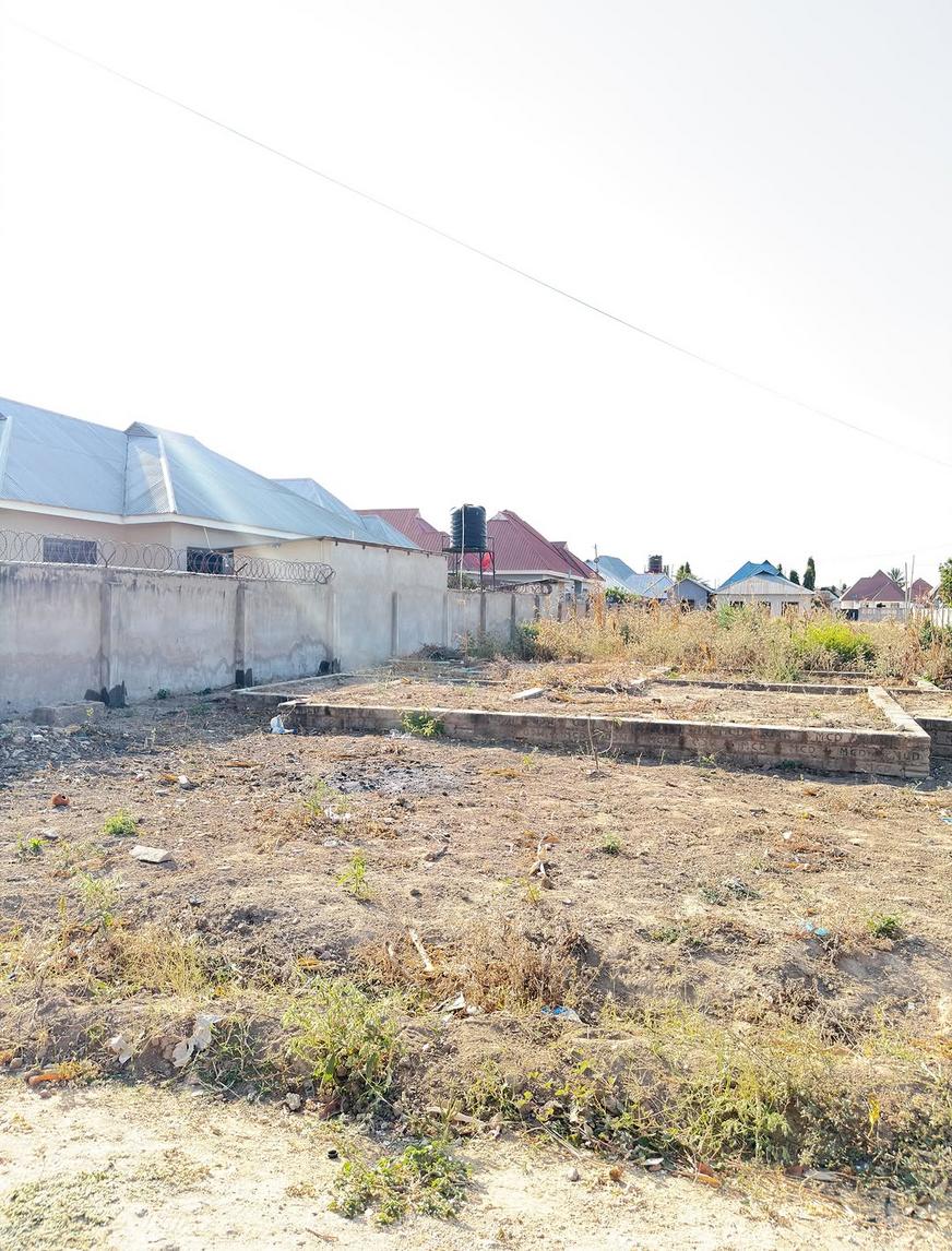 media -8 media -8