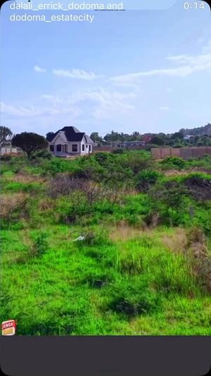 Residential Plot for Sale in Mkalama, Morogoro (800 sqm) Residential Plot for Sale in Mkalama, Morogoro (800 sqm)
