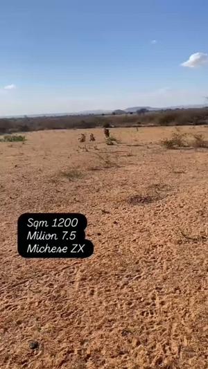 Residential Plot for Sale in Michese, Dodoma (1200 sqm)