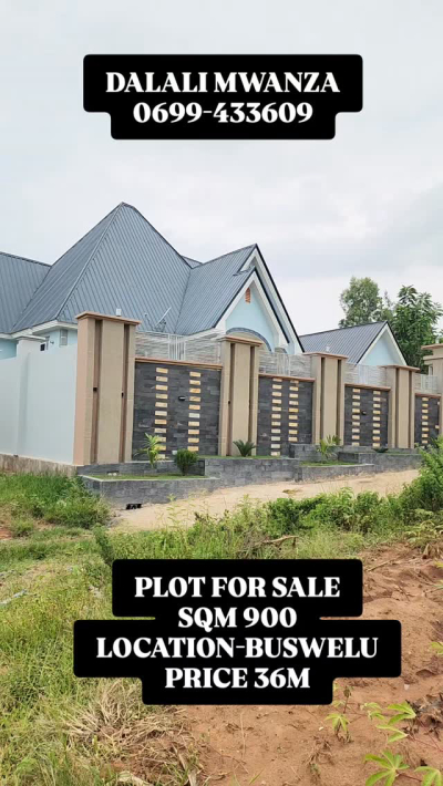 Plot for sale in Buswelu, Mwanza Plot for sale in Buswelu, Mwanza