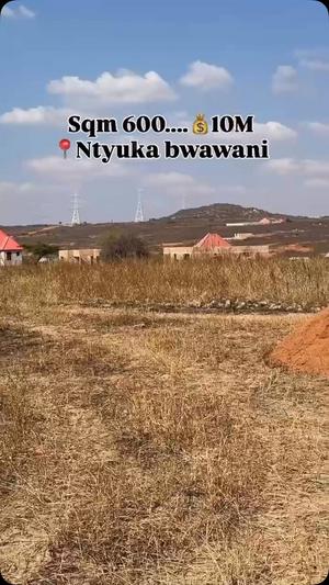 Kiwanja kinauzwa Ntyuka Bwawani, Dodoma (600 sqm)