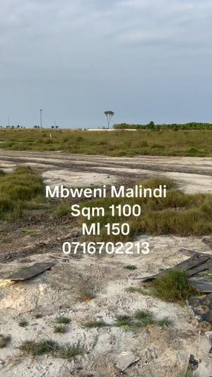 Beach Plot for Sale in Mbweni Malindi, Dar Es Salaam (1100 sqm) Beach Plot for Sale in Mbweni Malindi, Dar Es Salaam (1100 sqm)