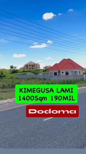 Kiwanja kinauzwa Iyumbu West, Dodoma sqm 1400