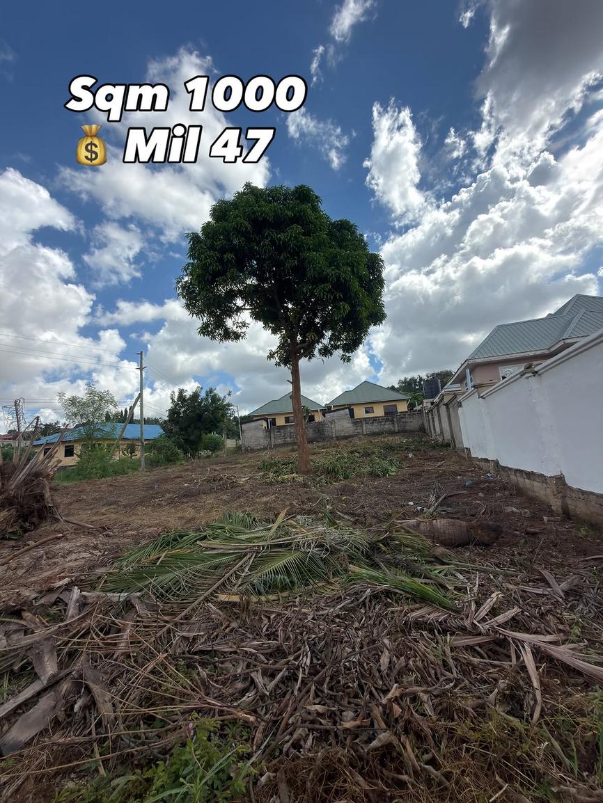  media -1