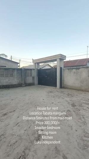 Apartment ya chumba kimoja inapangishwa Tabata Sanene Mangumi, Dar Es Salaam