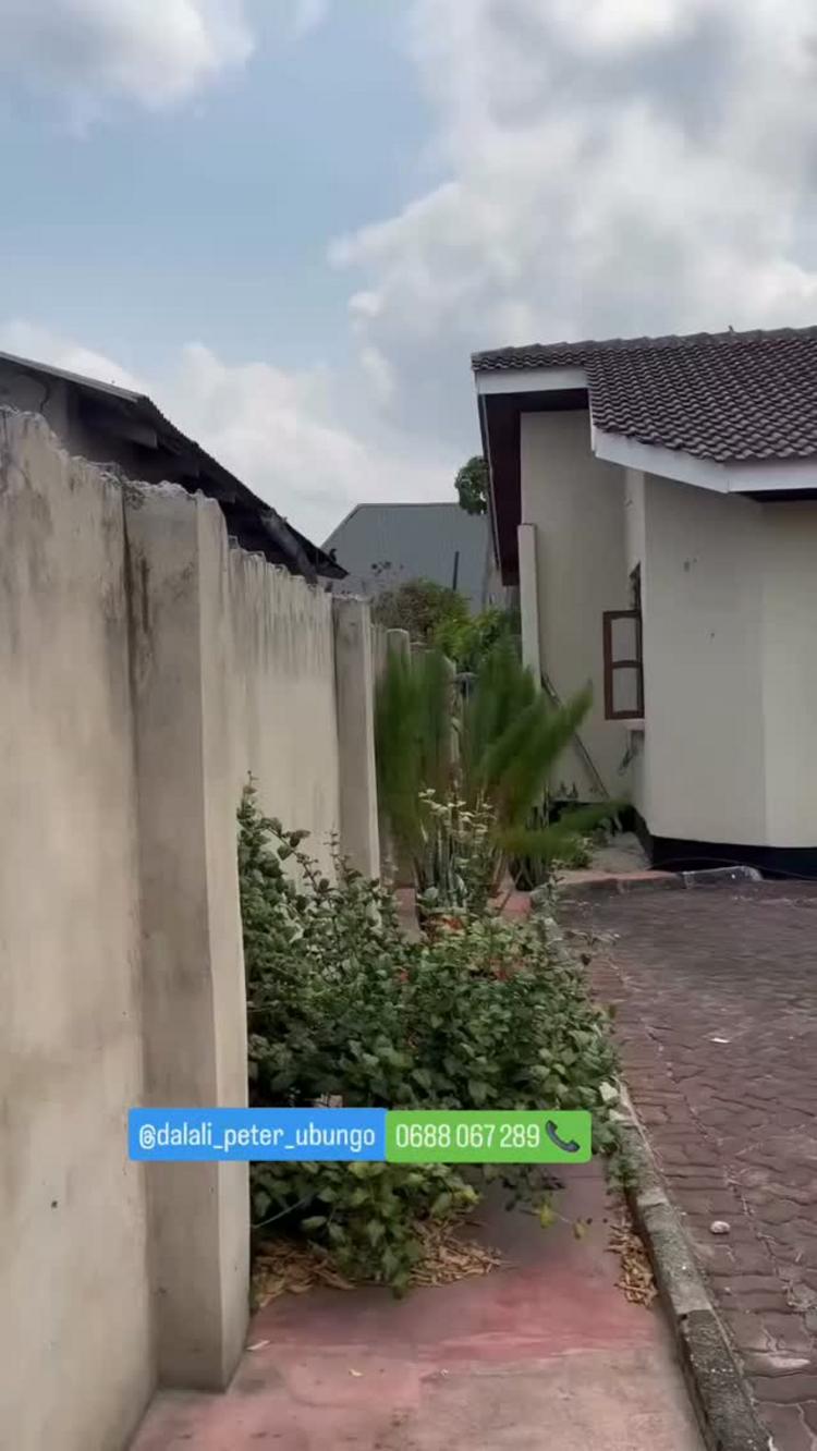 media -1 media -1