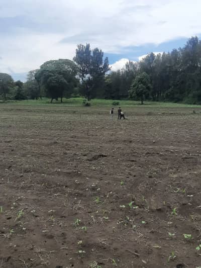 Plot for sale in Arusha
