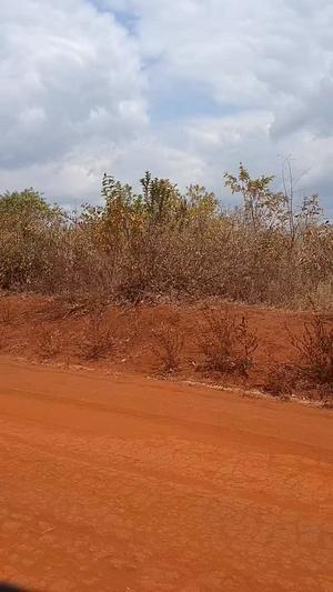 Farm for Sale in Mvomero, Morogoro (100 acre) Farm for Sale in Mvomero, Morogoro (100 acre)