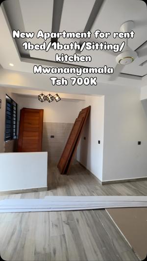 Apartment ya chumba kimoja inapangishwa Mwananyamala, Dar Es Salaam Apartment ya chumba kimoja inapangishwa Mwananyamala, Dar Es Salaam