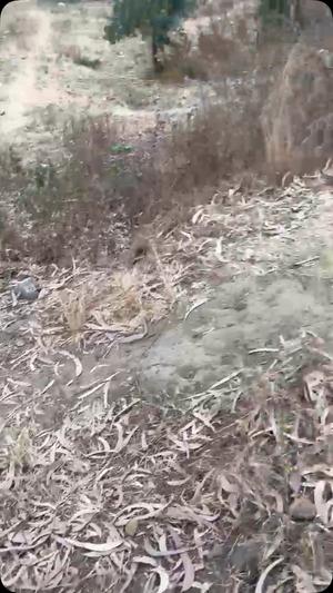 Residential Plot for Sale in Isyesye, Mbeya (1200 sqm) Residential Plot for Sale in Isyesye, Mbeya (1200 sqm)