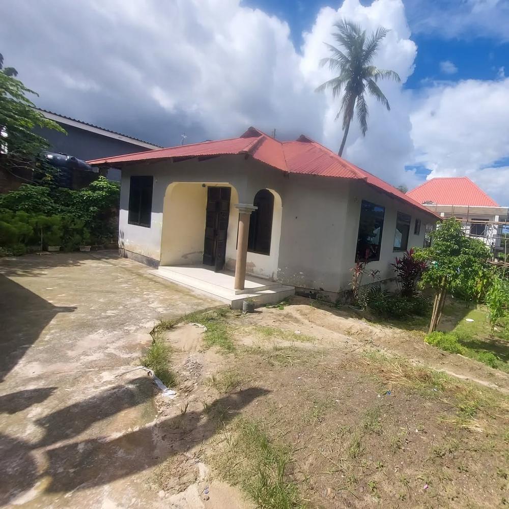 media -1