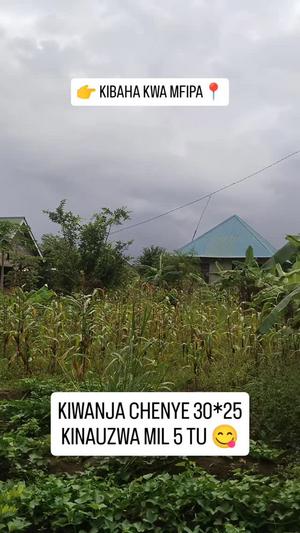 Plot for sale in Kibaha Kwa Mfipa, Pwani sqm 750