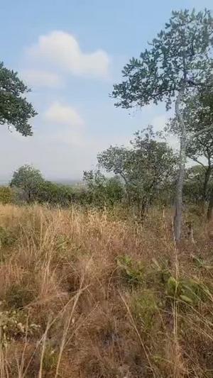 Shamba linauzwa Lumecha, Ruvuma (30 acre) Shamba linauzwa Lumecha, Ruvuma (30 acre)