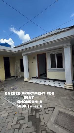 Apartment ya chumba kimoja inapangishwa Kinondoni B, Dar Es Salaam