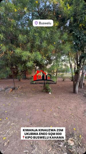 Kiwanja kinauzwa Mwanza sqm 800