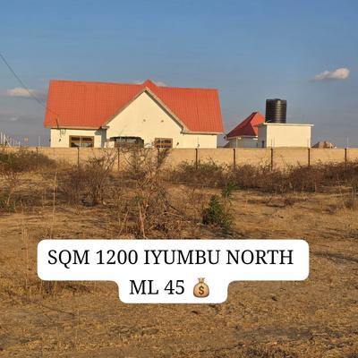 Kiwanja kinauzwa Iyumbu North, Dodoma (1200 sqm) Kiwanja kinauzwa Iyumbu North, Dodoma (1200 sqm)