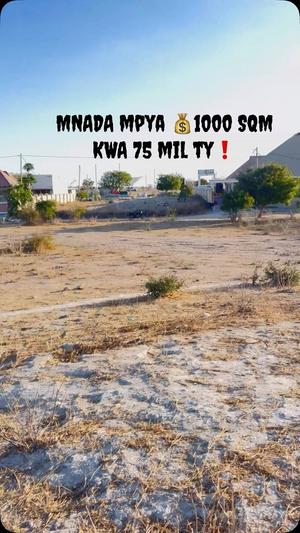 Residential Plot for Sale in Mnada Mpya, Dodoma (1000 sqm) Residential Plot for Sale in Mnada Mpya, Dodoma (1000 sqm)