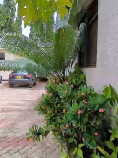 Apartment ya chumba kimoja inapangishwa Kimara Temboni, Dar Es Salaam