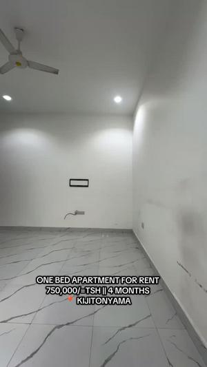 1 Bedroom Apartment for Rent in Kijitonyama, Dar Es Salaam