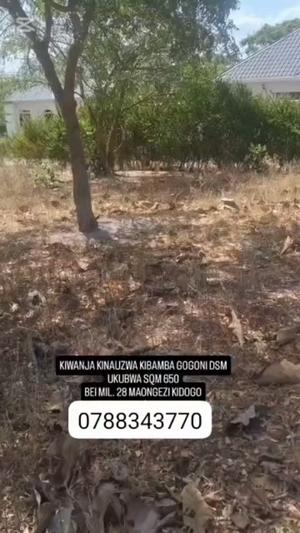 Residential Plot for Sale in Kibamba Gogoni, Dar Es Salaam (650 sqm) Residential Plot for Sale in Kibamba Gogoni, Dar Es Salaam (650 sqm)