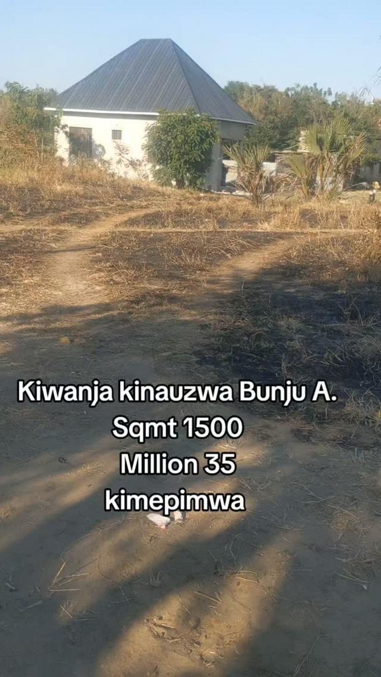 media -1 media -1