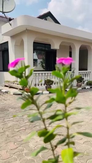 Nyumba ya vyumba vinne inapangishwa Mbezi Beach Tangibovu, Dar Es Salaam Nyumba ya vyumba vinne inapangishwa Mbezi Beach Tangibovu, Dar Es Salaam