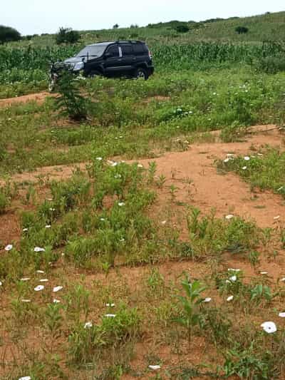 Viwanja vinauzwa Mhande, Mwanza Viwanja vinauzwa Mhande, Mwanza