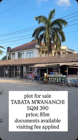 Kiwanja kinauzwa Tabata Mwananchi, Dar Es Salaam (390 sqm) Kiwanja kinauzwa Tabata Mwananchi, Dar Es Salaam (390 sqm)