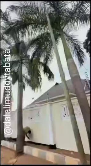 Nyumba ya vyumba vitatu inapangishwa Tabata Segerea, Dar Es Salaam Nyumba ya vyumba vitatu inapangishwa Tabata Segerea, Dar Es Salaam