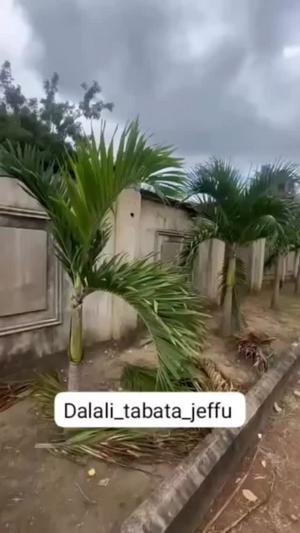 1 Bedroom Apartment for Rent in Tabata Segerea, Dar Es Salaam