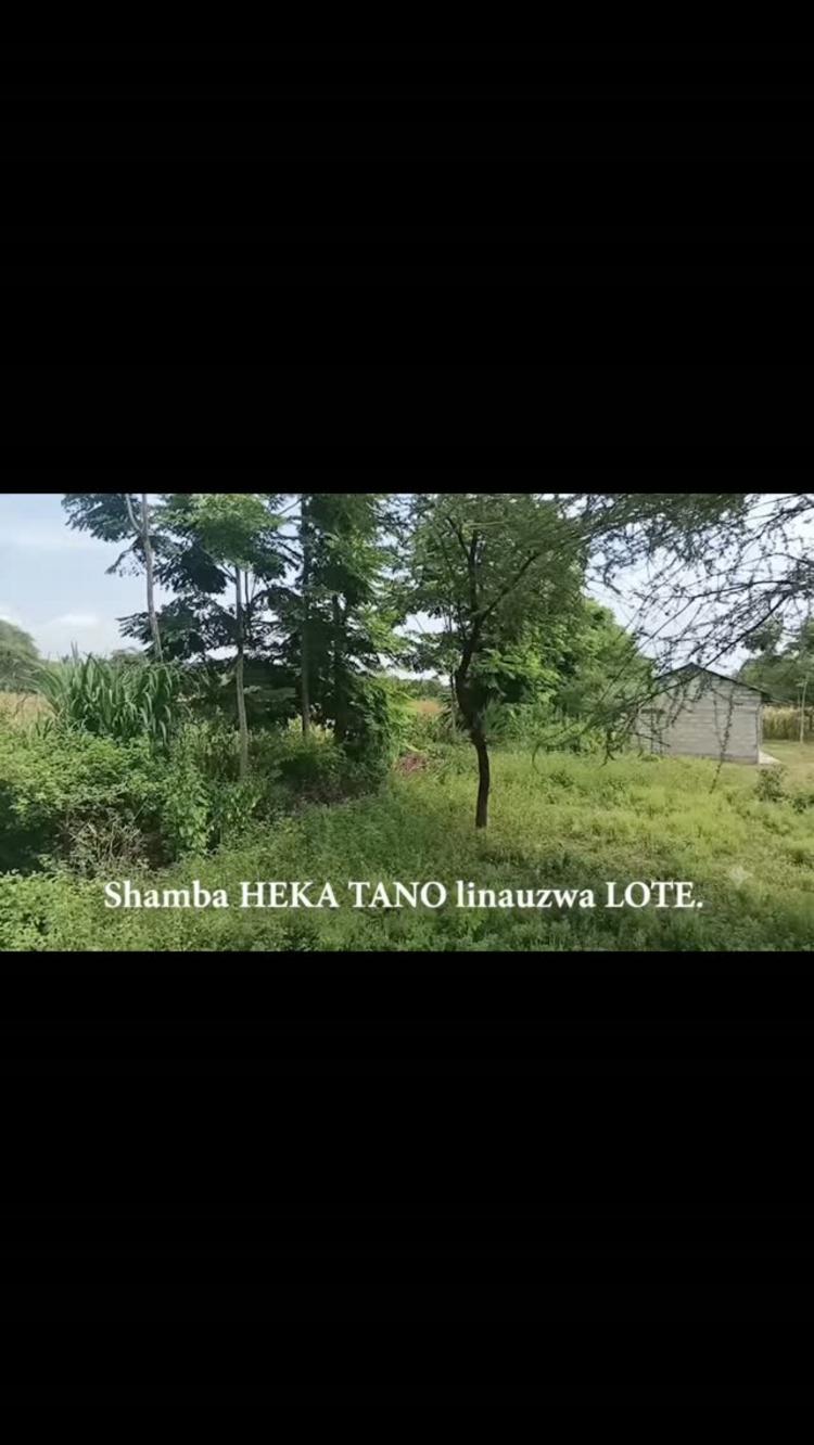 video thumbnail video thumbnail