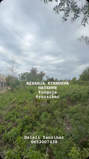 Kiwanja kinauzwa Matemwe, Zanzibar sqm 3100