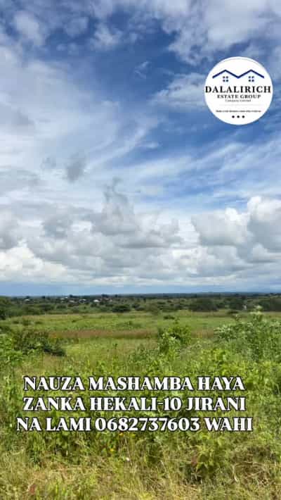 Shamba linauzwa Zanka, Dodoma (10 acre)