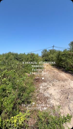 Kiwanja kinauzwa Shakani, Zanzibar (522 sqm) Kiwanja kinauzwa Shakani, Zanzibar (522 sqm)
