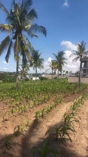 Plot for sale in Goba Kulangwa, Dar Es Salaam sqm 500 Plot for sale in Goba Kulangwa, Dar Es Salaam sqm 500