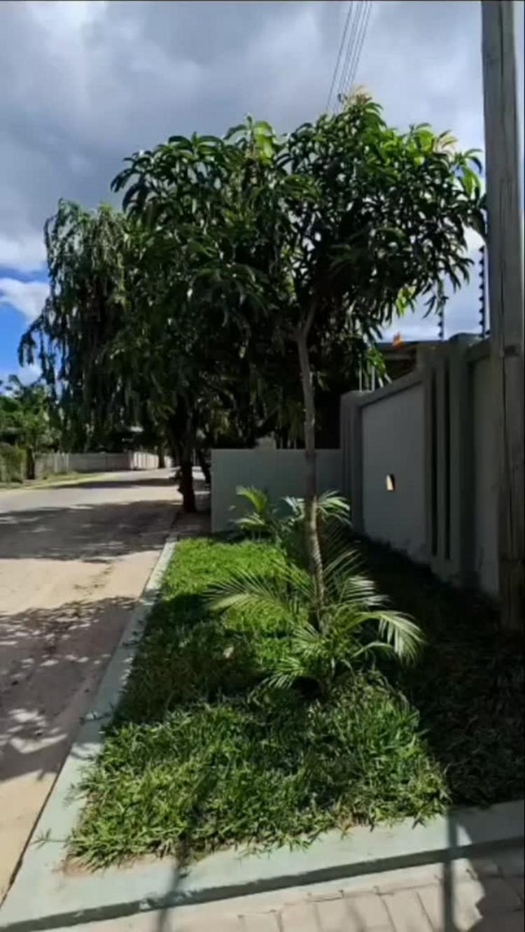 video thumbnail video thumbnail
