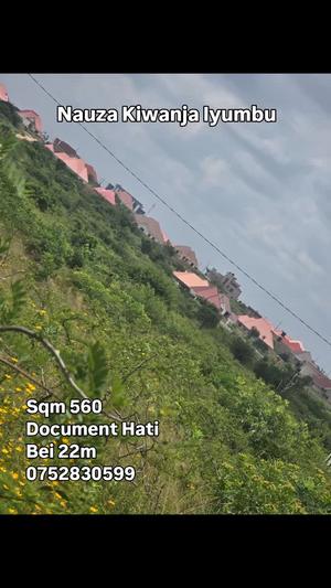 Kiwanja kinauzwa Iyumbu North, Dodoma sqm 560