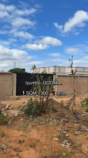 Kiwanja kinauzwa Iyumbu, Dodoma sqm 300