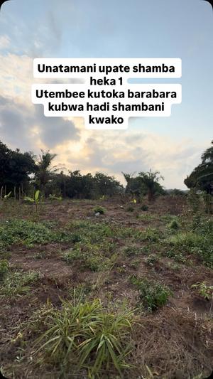 Shamba linauzwa Mkuranga Mwarusembe, Pwani (1 acre) Shamba linauzwa Mkuranga Mwarusembe, Pwani (1 acre)