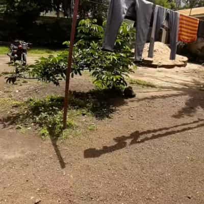 Nyumba inapangishwa Ngaramtoni, Arusha