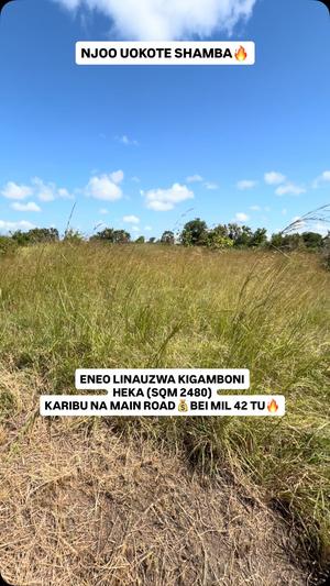 Kiwanja kinauzwa Mwasonga, Kigamboni, Dar Es Salaam (2480 sqm) Kiwanja kinauzwa Mwasonga, Kigamboni, Dar Es Salaam (2480 sqm)