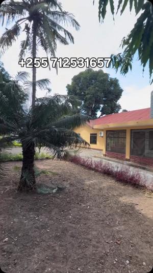 Nyumba ya vyumba vinne inapangishwa Mikocheni, Dar Es Salaam Nyumba ya vyumba vinne inapangishwa Mikocheni, Dar Es Salaam