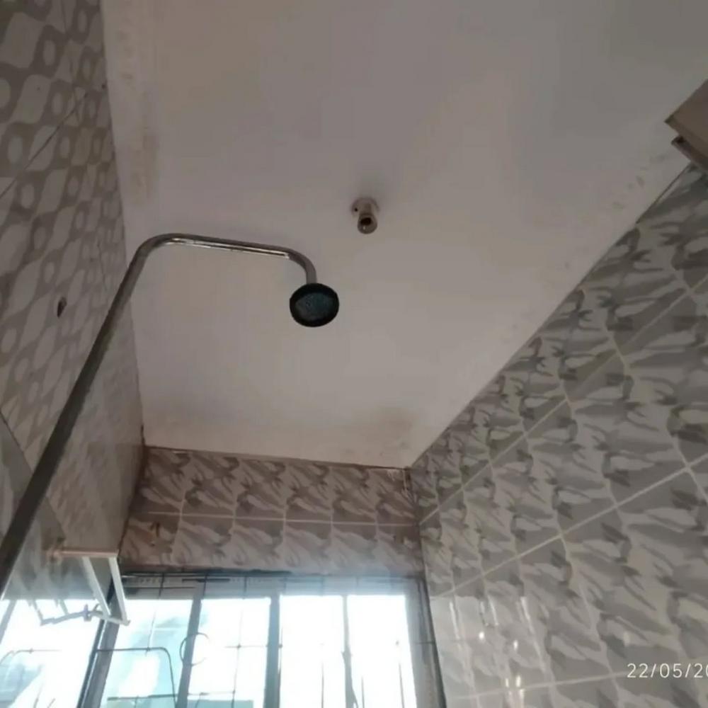 media -6