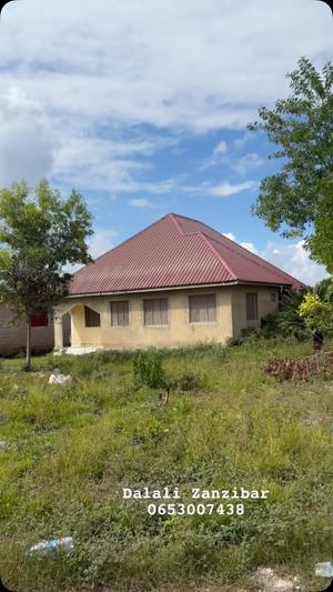3 Bedrooms House for Rent in Kiwengwa, Zanzibar 3 Bedrooms House for Rent in Kiwengwa, Zanzibar
