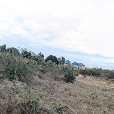 Kiwanja kinauzwa Nala, Dodoma sqm 1241