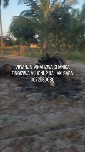 Residential Plots for Sale in Chanika Zingiziwa, Dar Es Salaam Residential Plots for Sale in Chanika Zingiziwa, Dar Es Salaam