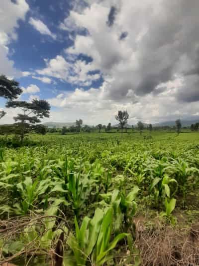 Kiwanja kinauzwa Ngaramtoni, Arusha (4900 sqm)