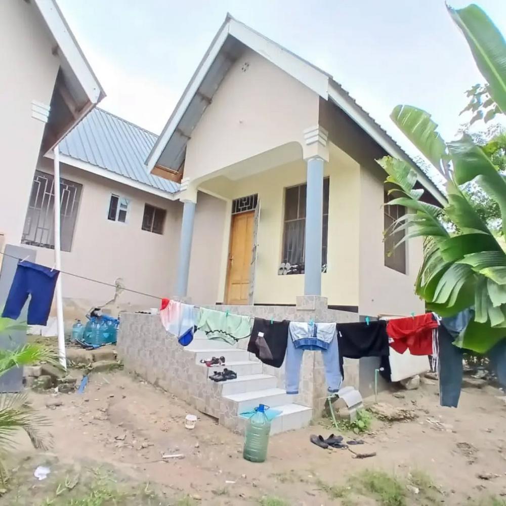  media -1