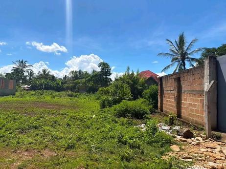 Residential Plot for Sale in Tunguu Mahakamani, Zanzibar - Mjini Magharibi (396 sqm) Residential Plot for Sale in Tunguu Mahakamani, Zanzibar - Mjini Magharibi (396 sqm)